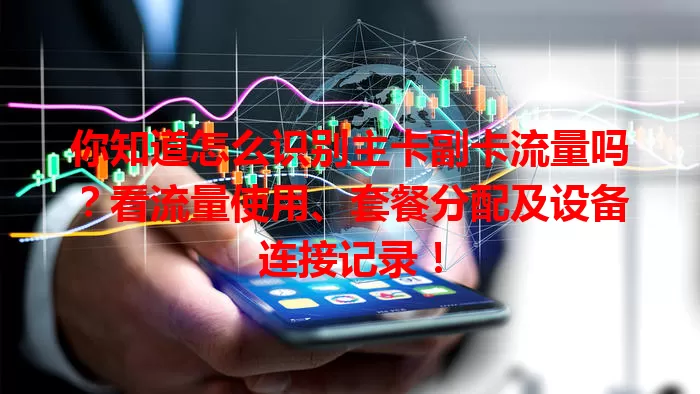 你知道怎么识别主卡副卡流量吗？看流量使用、套餐分配及设备连接记录！