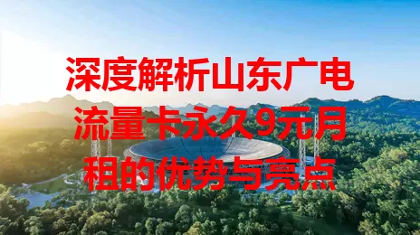 深度解析山东广电流量卡永久9元月租的优势与亮点