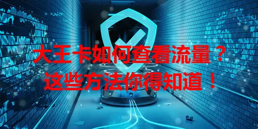 大王卡如何查看流量？这些方法你得知道！