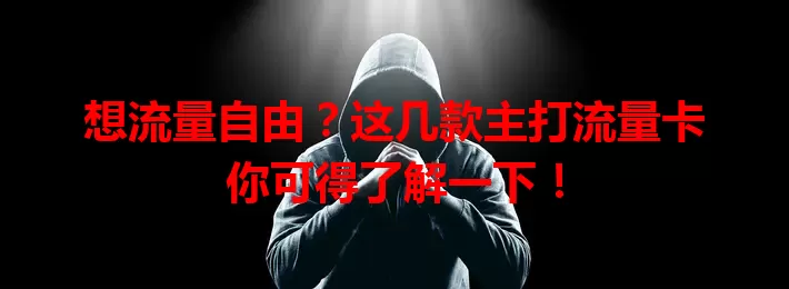 想流量自由？这几款主打流量卡你可得了解一下！