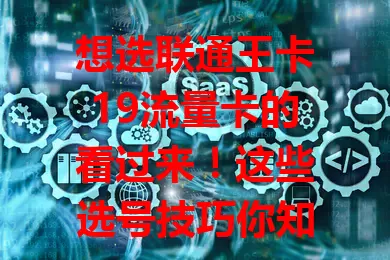 想选联通王卡19流量卡的看过来！这些选号技巧你知道吗？