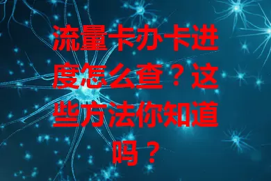 流量卡办卡进度怎么查？这些方法你知道吗？