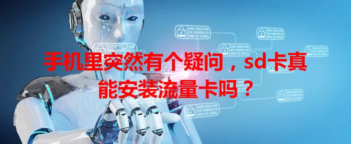 手机里突然有个疑问，sd卡真能安装流量卡吗？