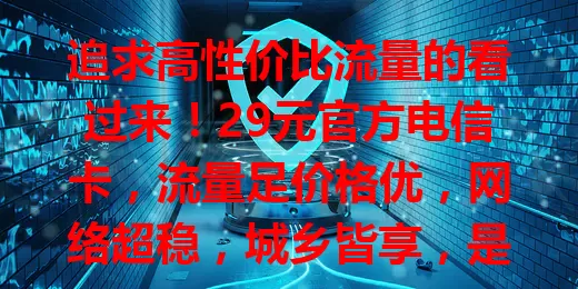 追求高性价比流量的看过来！29元官方电信卡，流量足价格优，网络超稳，城乡皆享，是流量需求大又想省费用户的绝佳选择