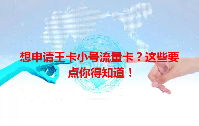 想申请王卡小号流量卡？这些要点你得知道！