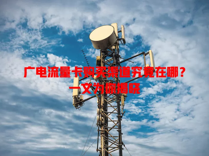 广电流量卡购买渠道究竟在哪？一文为你揭晓