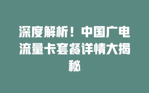 深度解析！中国广电流量卡套餐详情大揭秘