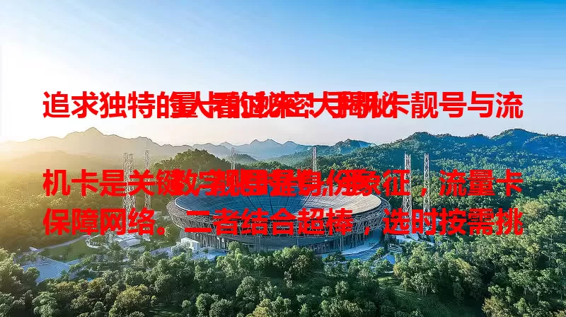 追求独特的人看过来！手机卡靓号与流量卡的秘密大揭秘

数字化时代，手机卡是关键，靓号是身份象征，流量卡保障网络。二者结合超棒，选时按需挑套餐、依喜好预算选靓号，稀有靓号有收藏价值，能为数字生活添彩！