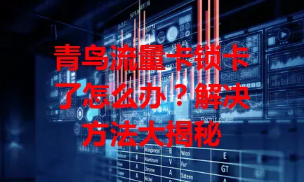 青鸟流量卡锁卡了怎么办？解决方法大揭秘