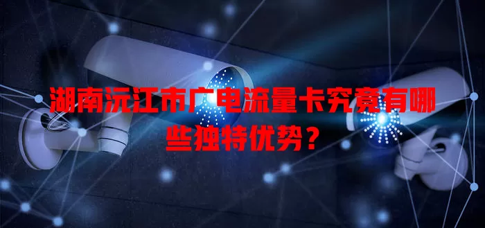 湖南沅江市广电流量卡究竟有哪些独特优势？