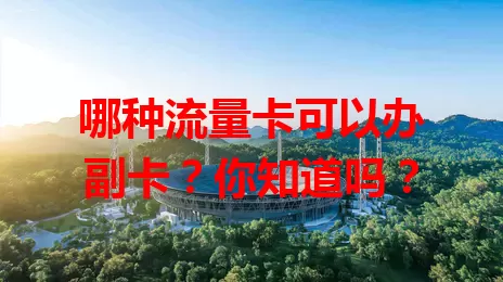 哪种流量卡可以办副卡？你知道吗？