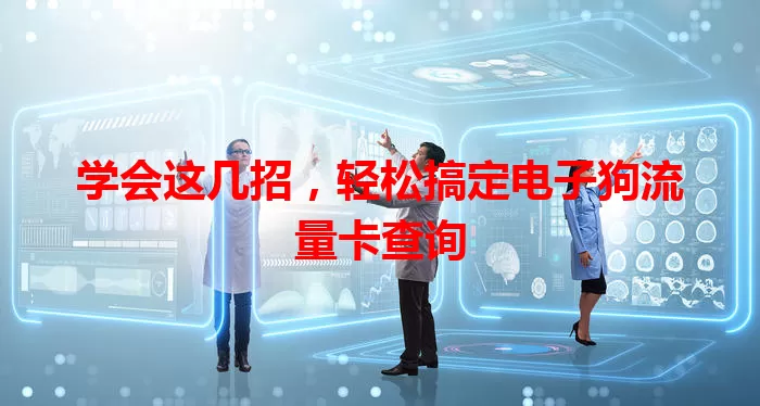 学会这几招，轻松搞定电子狗流量卡查询