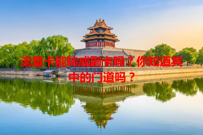 流量卡能转成副卡吗？你知道其中的门道吗？