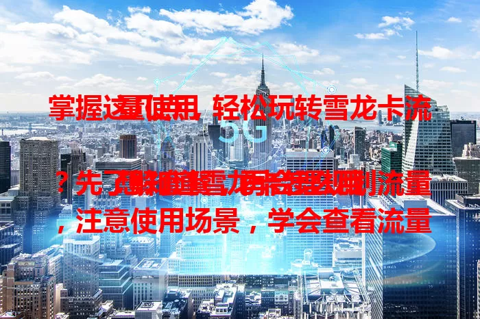 掌握这几点，轻松玩转雪龙卡流量使用

想知道雪龙卡怎么用？先了解套餐，再合理规划流量，注意使用场景，学会查看流量情况，掌握要点就能轻松玩转，避免流量困扰！