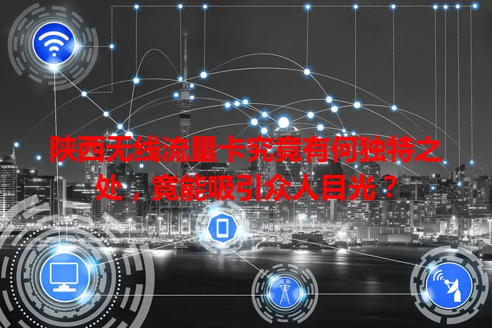 陕西无线流量卡究竟有何独特之处，竟能吸引众人目光？