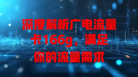 深度解析广电流量卡166g，满足你的流量需求