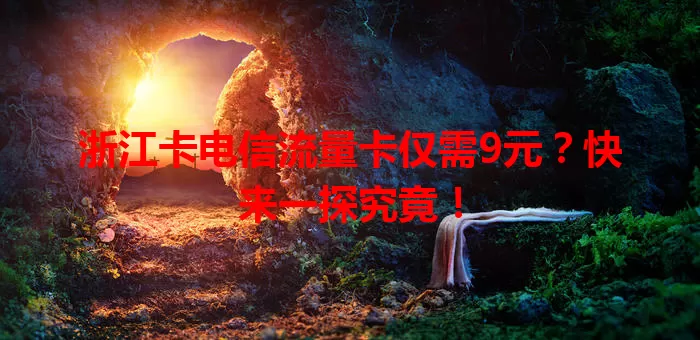 浙江卡电信流量卡仅需9元？快来一探究竟！