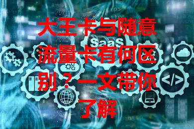 大王卡与随意流量卡有何区别？一文带你了解
