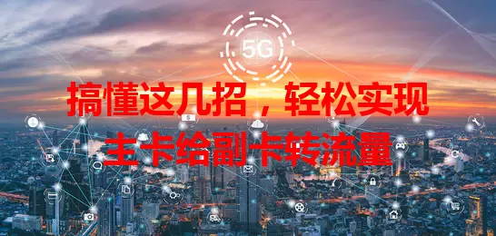 搞懂这几招，轻松实现主卡给副卡转流量