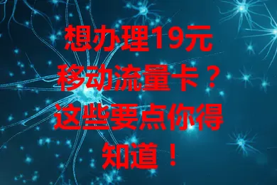 想办理19元移动流量卡？这些要点你得知道！