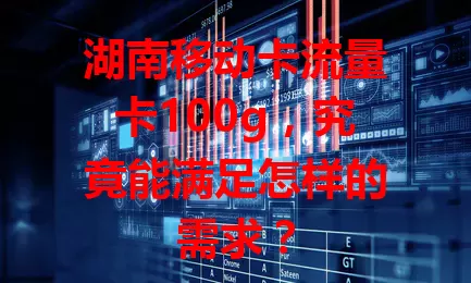 湖南移动卡流量卡100g，究竟能满足怎样的需求？