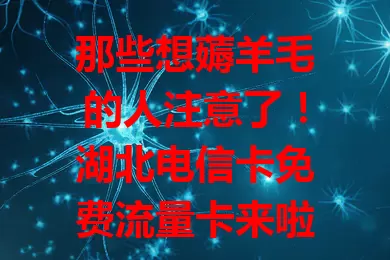 那些想薅羊毛的人注意了！湖北电信卡免费流量卡来啦