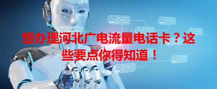 想办理河北广电流量电话卡？这些要点你得知道！
