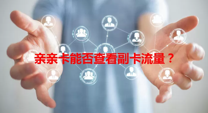 亲亲卡能否查看副卡流量？