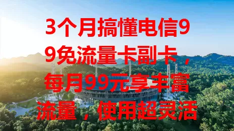 3个月搞懂电信99免流量卡副卡，每月99元享丰富流量，使用超灵活，网络超稳，办理简便，性价比超高！