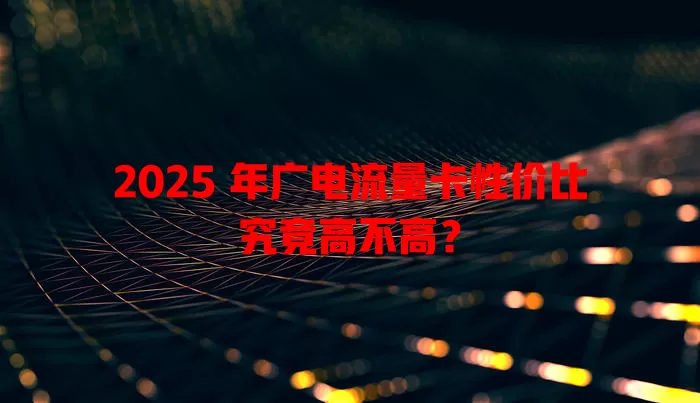 2025 年广电流量卡性价比究竟高不高？