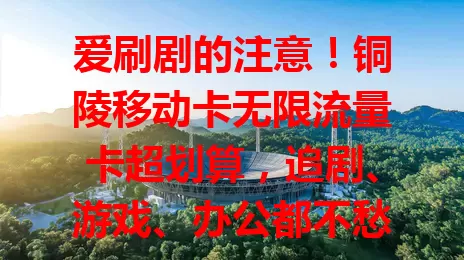 爱刷剧的注意！铜陵移动卡无限流量卡超划算，追剧、游戏、办公都不愁流量，畅享畅快体验