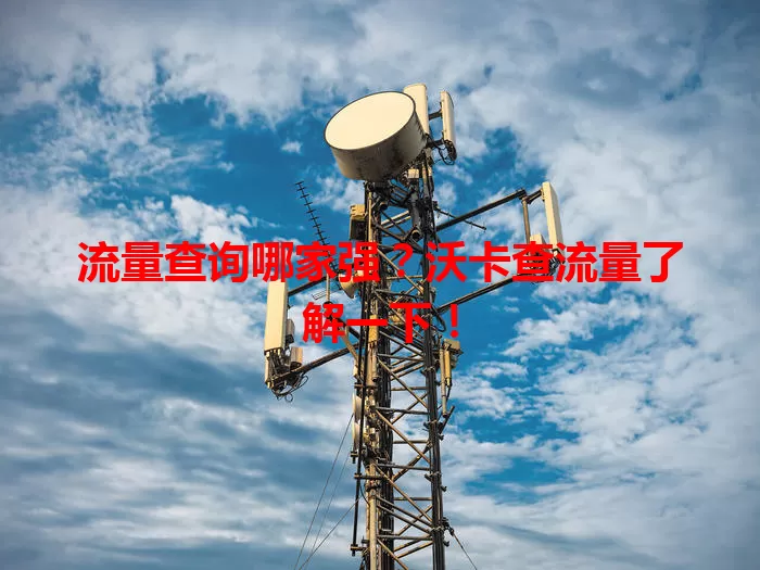 流量查询哪家强？沃卡查流量了解一下！