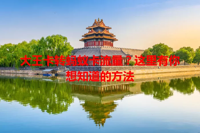 大王卡转蚂蚁卡流量？这里有你想知道的方法