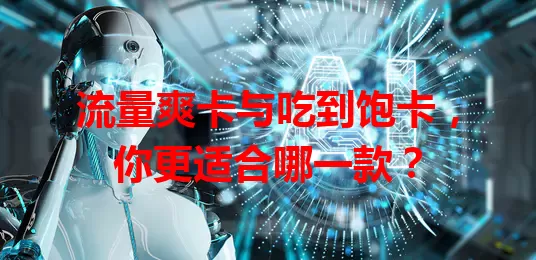 流量爽卡与吃到饱卡，你更适合哪一款？