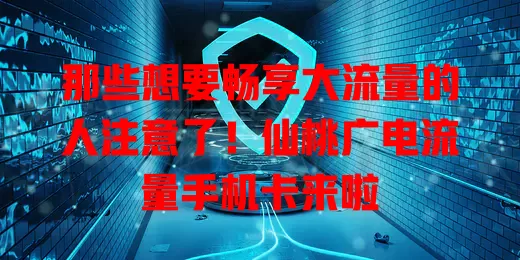 那些想要畅享大流量的人注意了！仙桃广电流量手机卡来啦