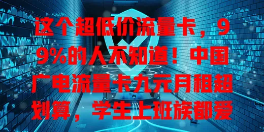 这个超低价流量卡，99%的人不知道！中国广电流量卡九元月租超划算，学生上班族都爱，流量足质量好，性价比超高，轻松享网络便利乐趣