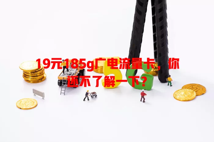 19元185g广电流量卡，你还不了解一下？
