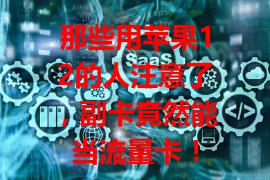 那些用苹果12的人注意了，副卡竟然能当流量卡！