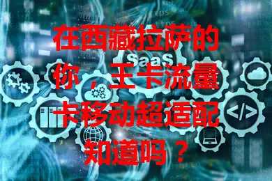 在西藏拉萨的你，王卡流量卡移动超适配知道吗？