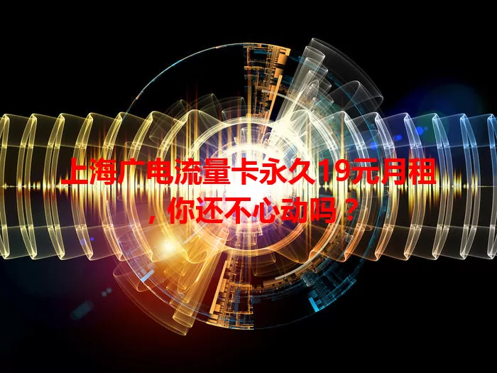 上海广电流量卡永久19元月租，你还不心动吗？