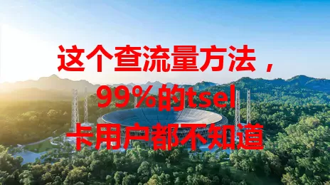 这个查流量方法，99%的tsel卡用户都不知道