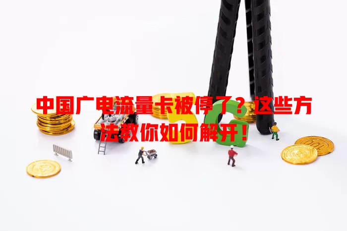 中国广电流量卡被停了？这些方法教你如何解开！