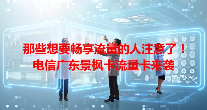那些想要畅享流量的人注意了！电信广东景枫卡流量卡来袭