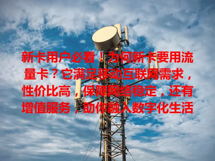 新卡用户必看！为何新卡要用流量卡？它满足移动互联网需求，性价比高，保障网络稳定，还有增值服务，助你融入数字化生活，开启畅快网络之旅