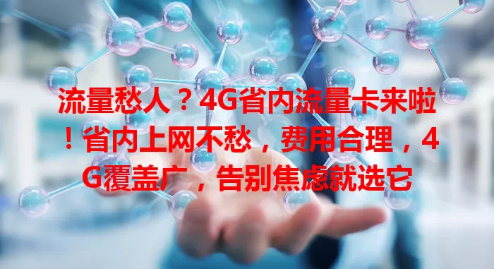 流量愁人？4G省内流量卡来啦！省内上网不愁，费用合理，4G覆盖广，告别焦虑就选它
