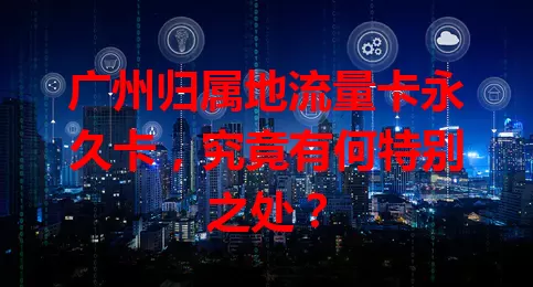 广州归属地流量卡永久卡，究竟有何特别之处？
