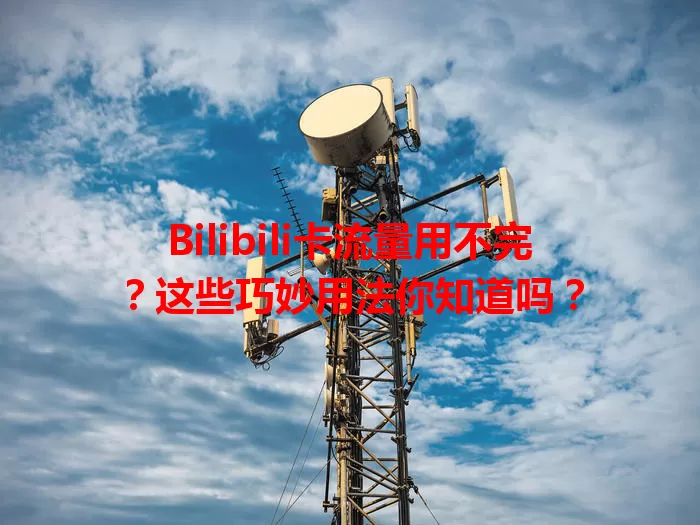 Bilibili卡流量用不完？这些巧妙用法你知道吗？