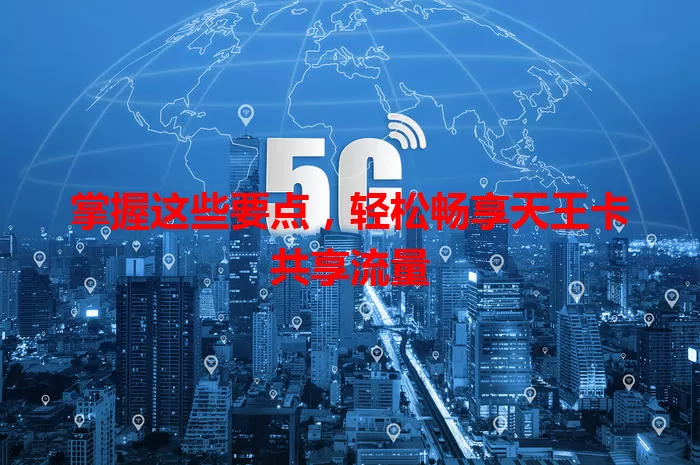 掌握这些要点，轻松畅享天王卡共享流量