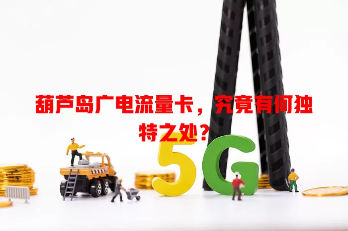 葫芦岛广电流量卡，究竟有何独特之处？