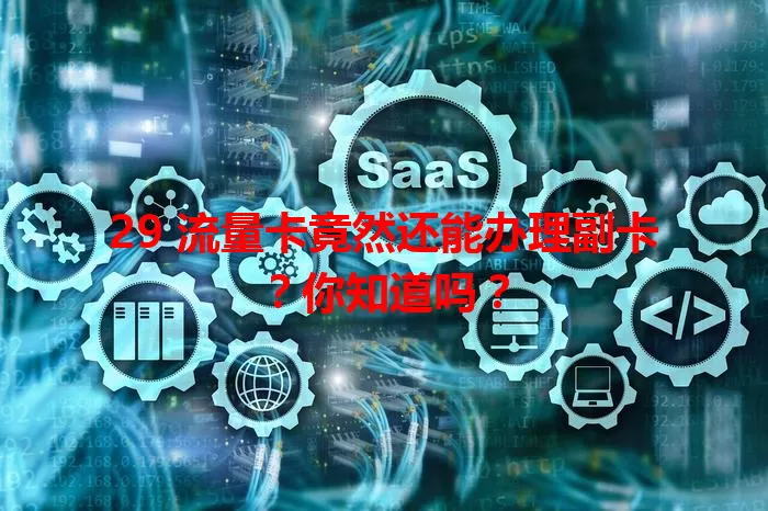 29 流量卡竟然还能办理副卡？你知道吗？